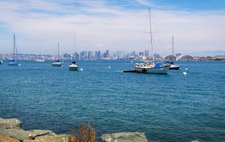 Local Area Point Loma