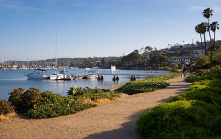 Local Area Point Loma