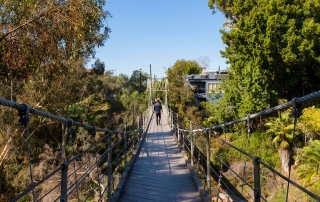 Local Area Point Loma