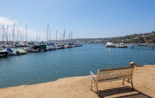 Local Area Point Loma