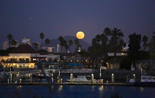 Local Area Point Loma