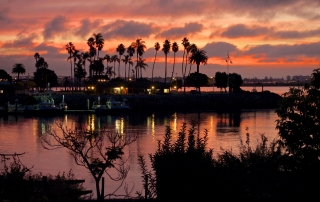 Local Area Point Loma