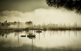 Local Area Point Loma