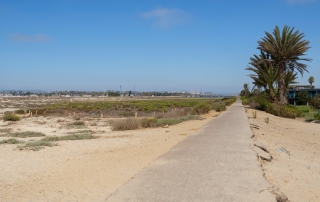 Ocean Beach Local Area