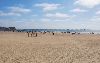 Ocean Beach Local Area