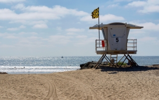 Ocean Beach Local Area