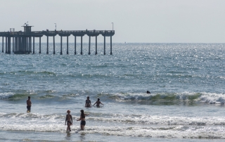 Ocean Beach Local Area
